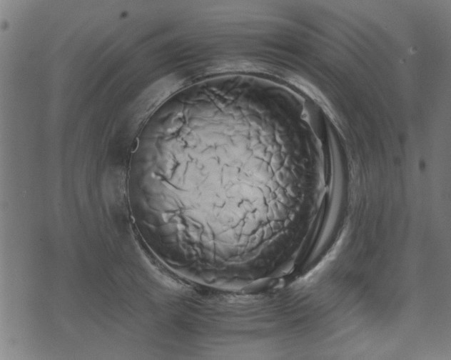 X0000071380849200606261411