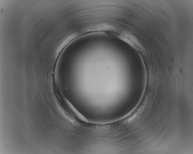 X0000071380850200606261411