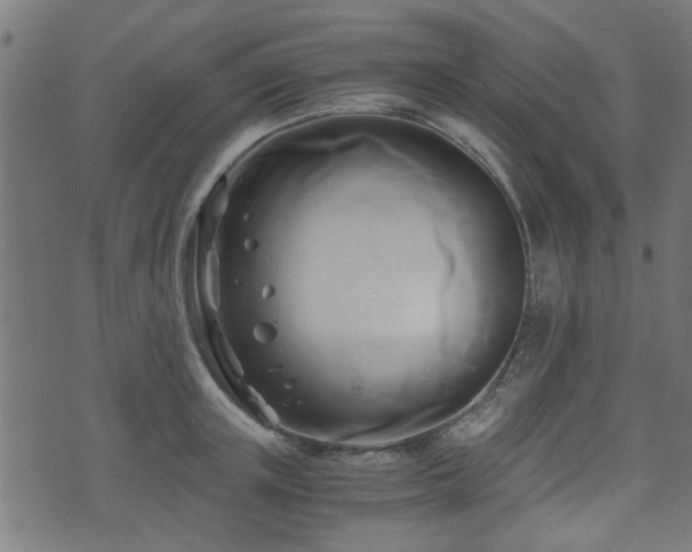 X0000071380851200606261411