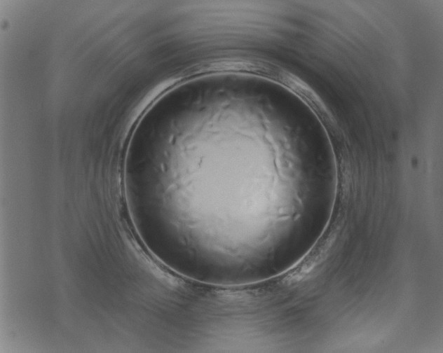 X0000071380852200606261411