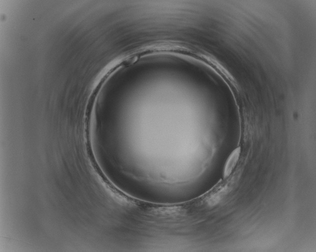 X0000071380853200606261411