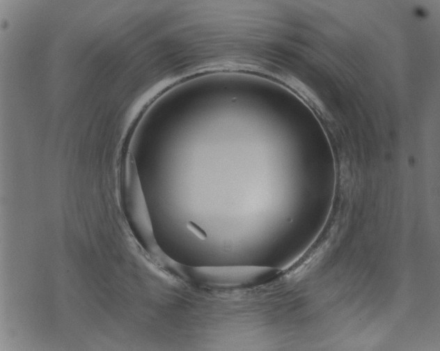 X0000071380854200606261411