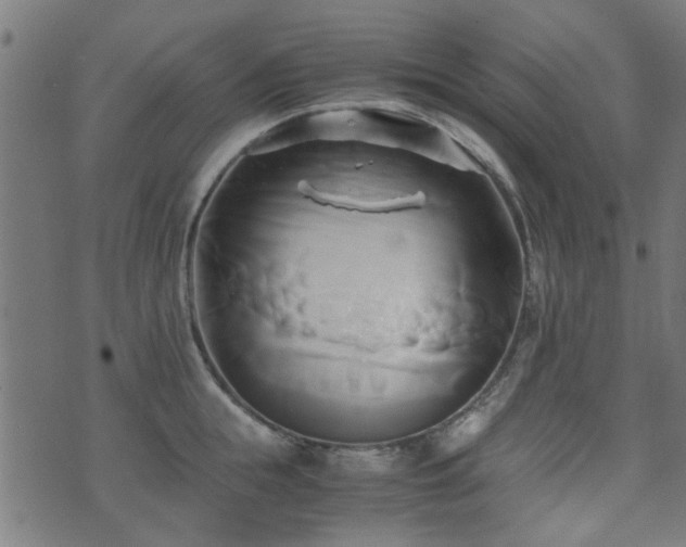 X0000071380855200606261411