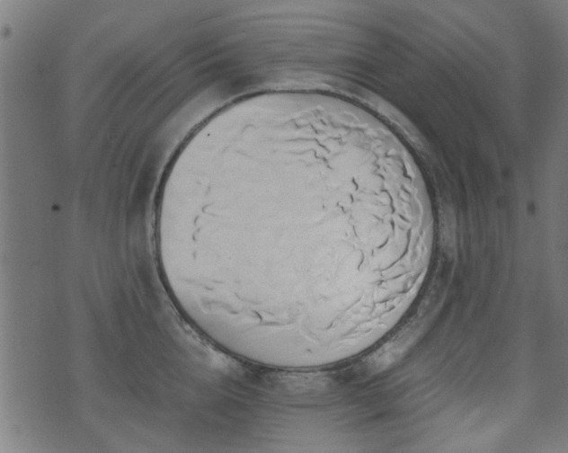 X0000071380856200606261411