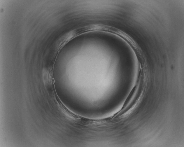 X0000071380857200606261411