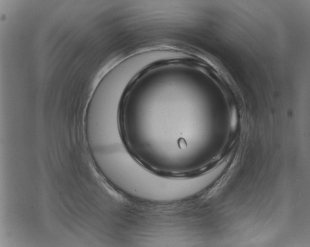 X0000071380858200606261411