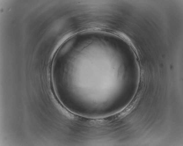 X0000071380859200606261411