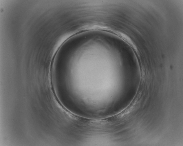 X0000071380863200606261412