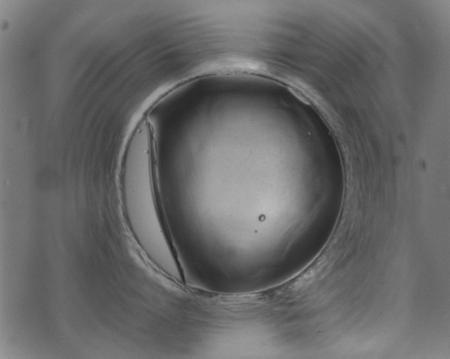 X0000071380864200606261412