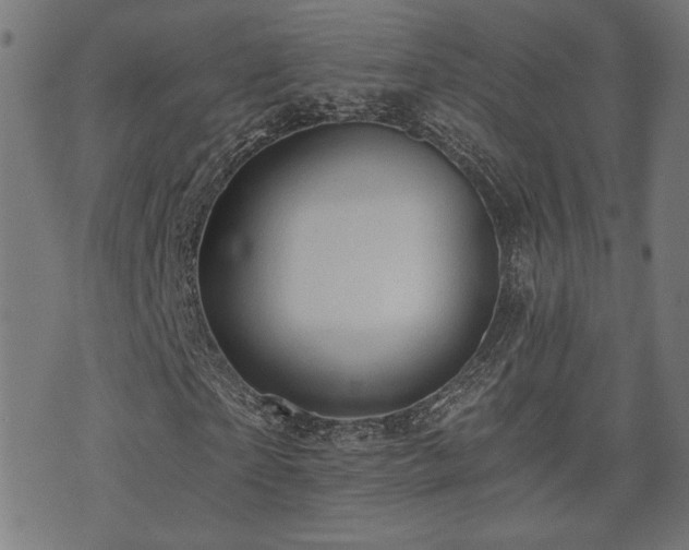 X0000071380865200606261411