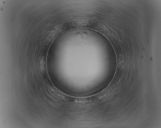 X0000071380866200606261411