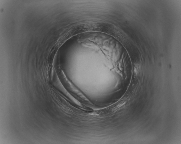 X0000071380867200606261411