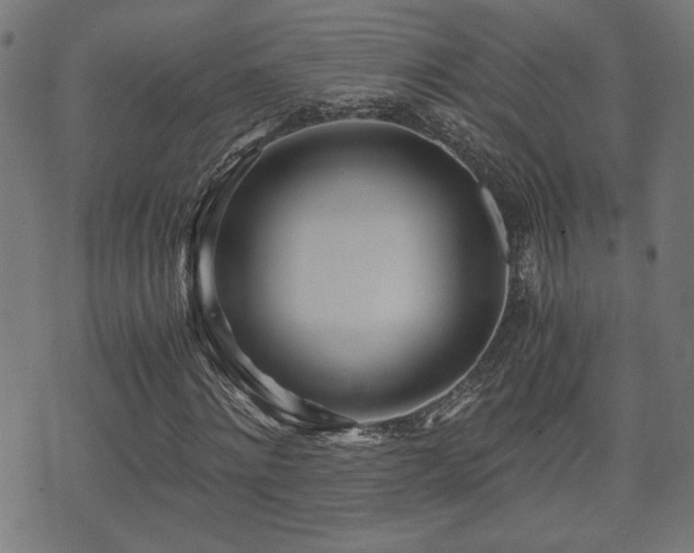 X0000071380868200606261411