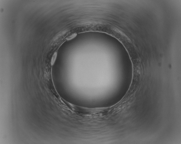 X0000071380869200606261411