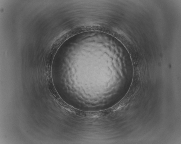 X0000071380870200606261411