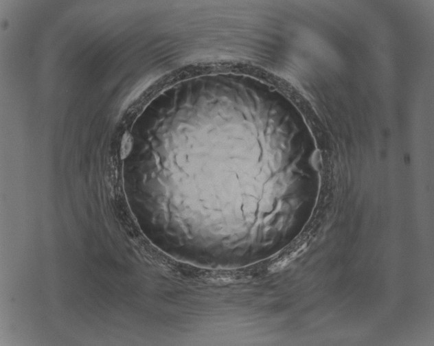 X0000071380871200606261411