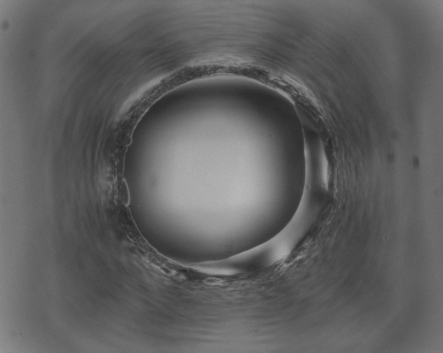 X0000071380872200606261411