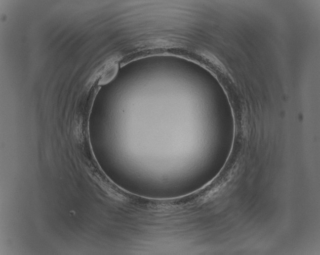 X0000071380873200606261411