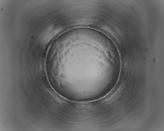 X0000071380874200606261411