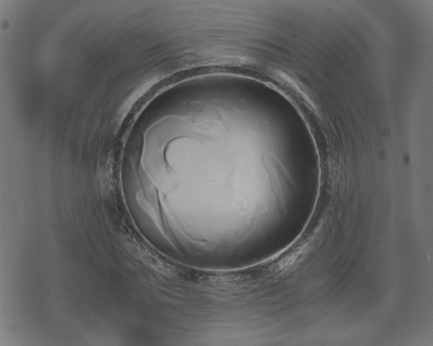 X0000071380875200606261411