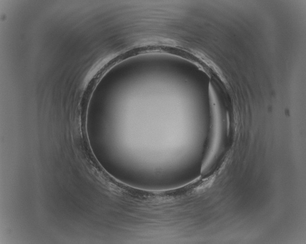 X0000071380877200606261411