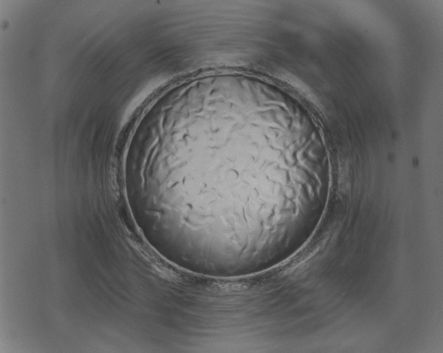 X0000071380878200606261411