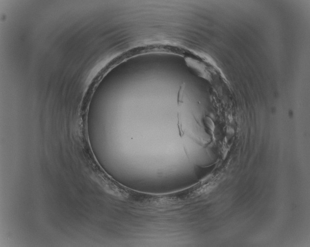 X0000071380879200606261411