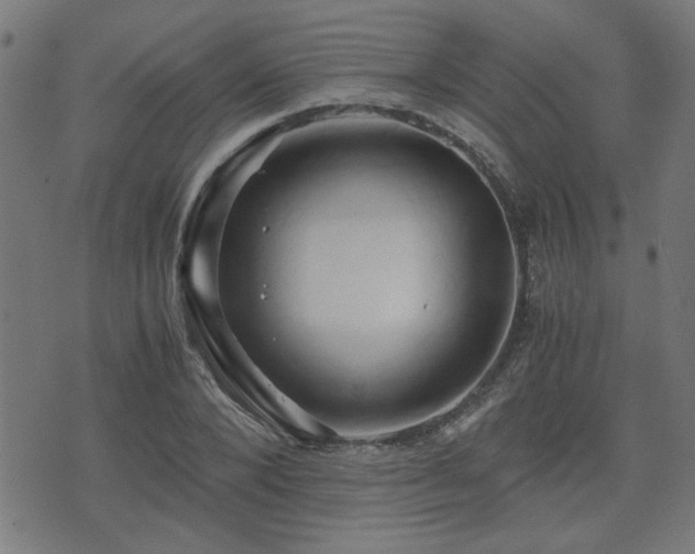 X0000071380880200606261411