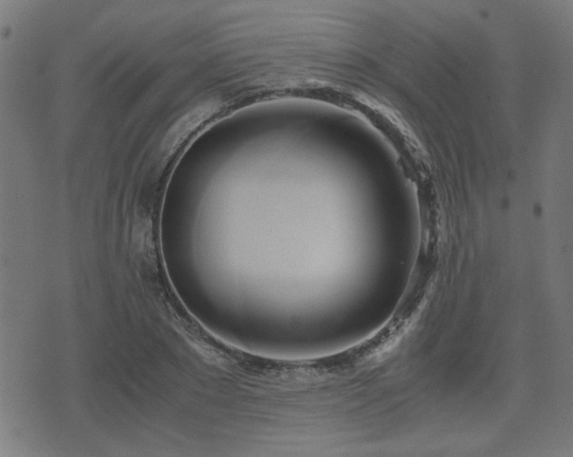 X0000071380881200606261411