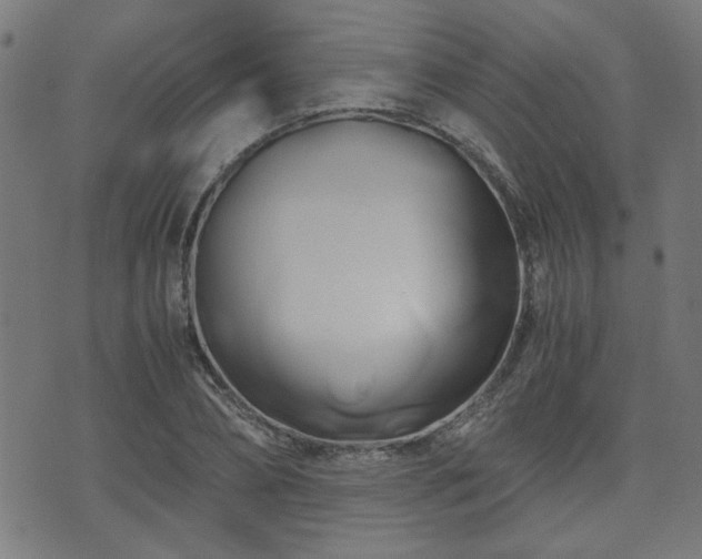 X0000071380882200606261411