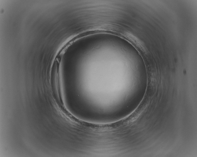 X0000071380884200606261410