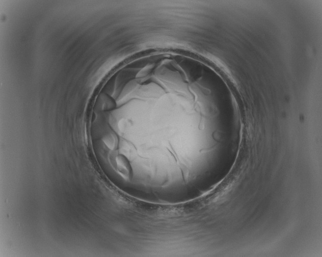 X0000071380887200606261410