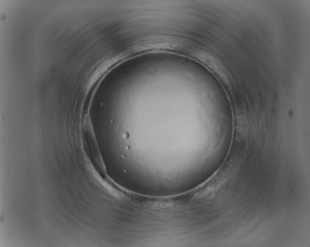 X0000071380890200606261410