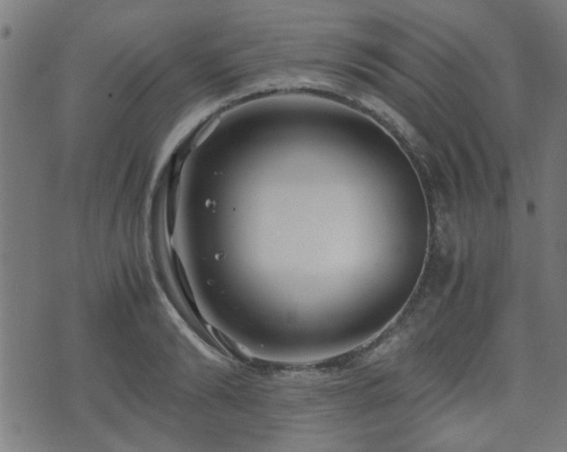 X0000071380894200606261410