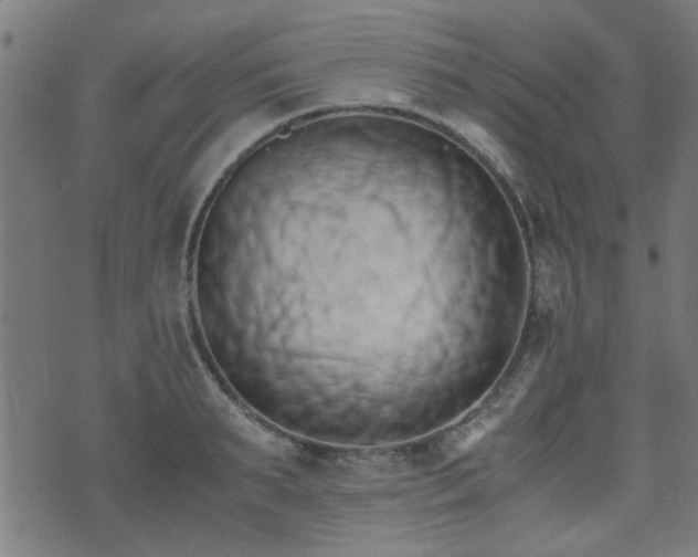 X0000071380895200606261410