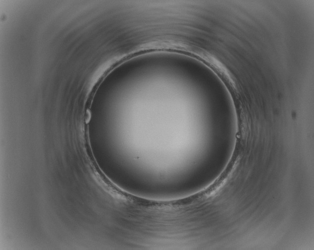 X0000071380896200606261410