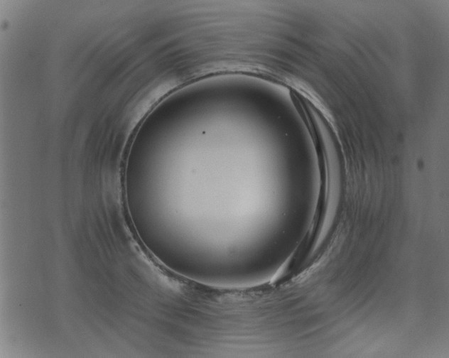 X0000071380898200606261410