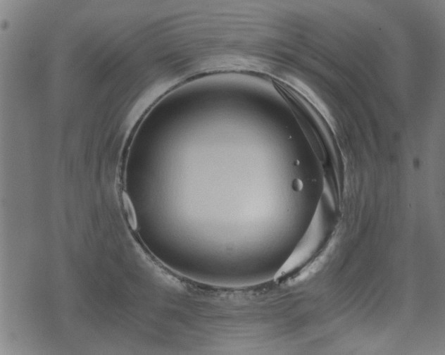 X0000071380901200606261410