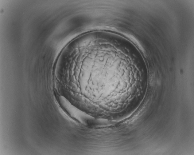 X0000071380903200606261410