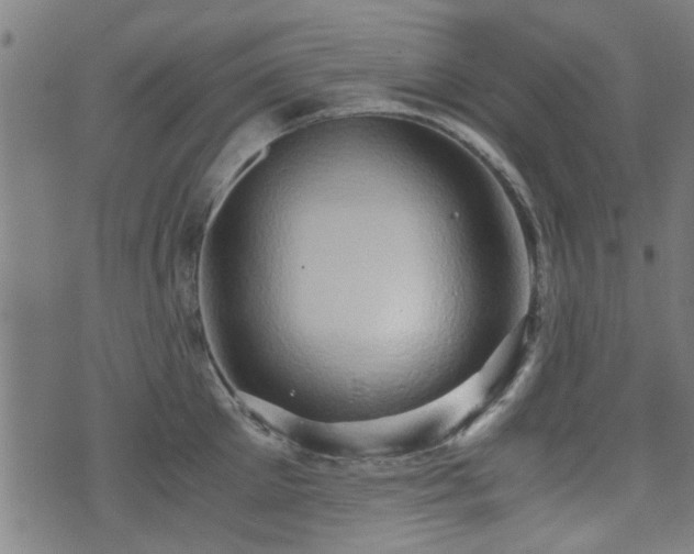 X0000071380905200606261410