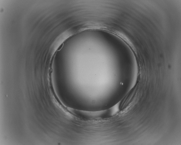 X0000071380906200606261410