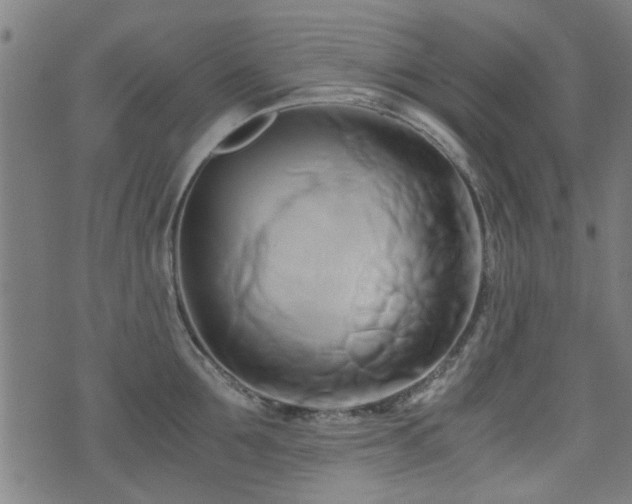 X0000071380907200606261410