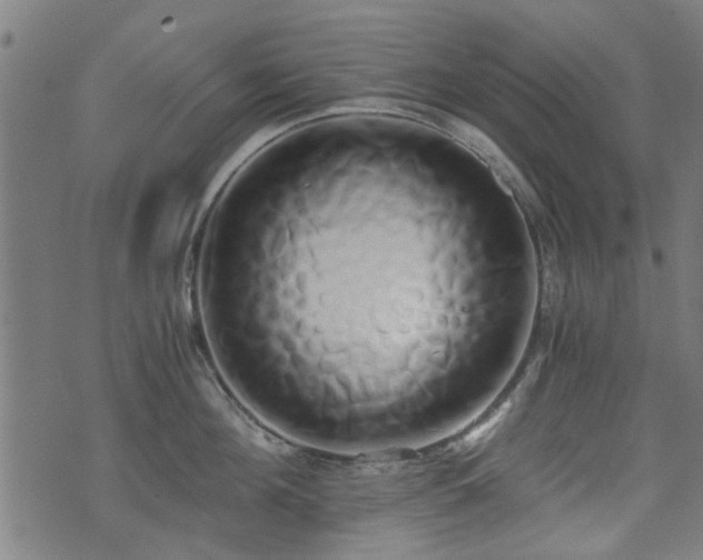 X0000071380908200606261410