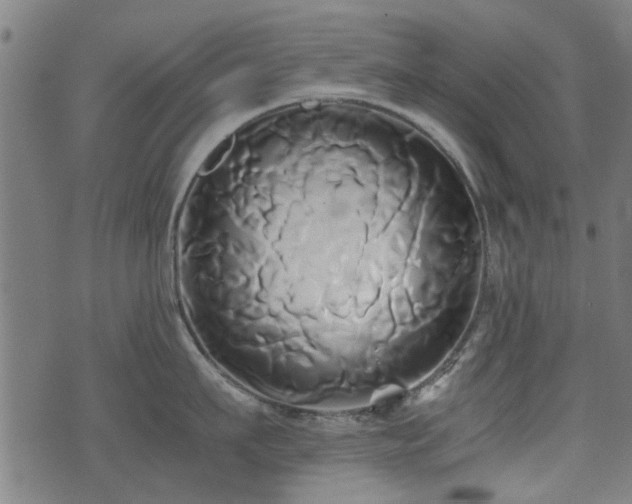 X0000071380911200606261410