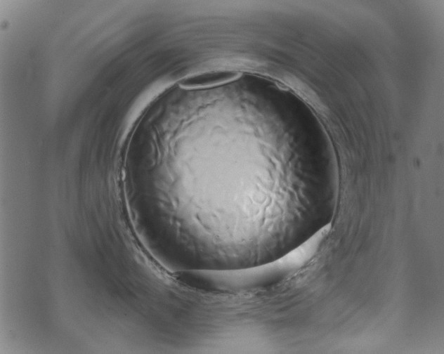 X0000071380912200606261410