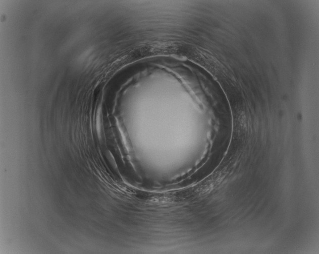 X0000071380914200606261409