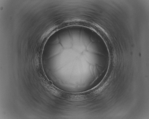 X0000071380921200606261409