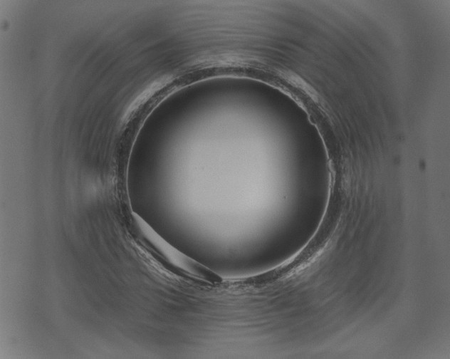 X0000071380922200606261409