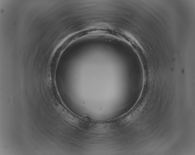 X0000071380923200606261409