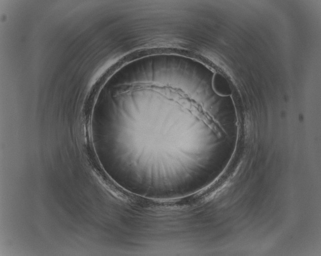 X0000071380925200606261409